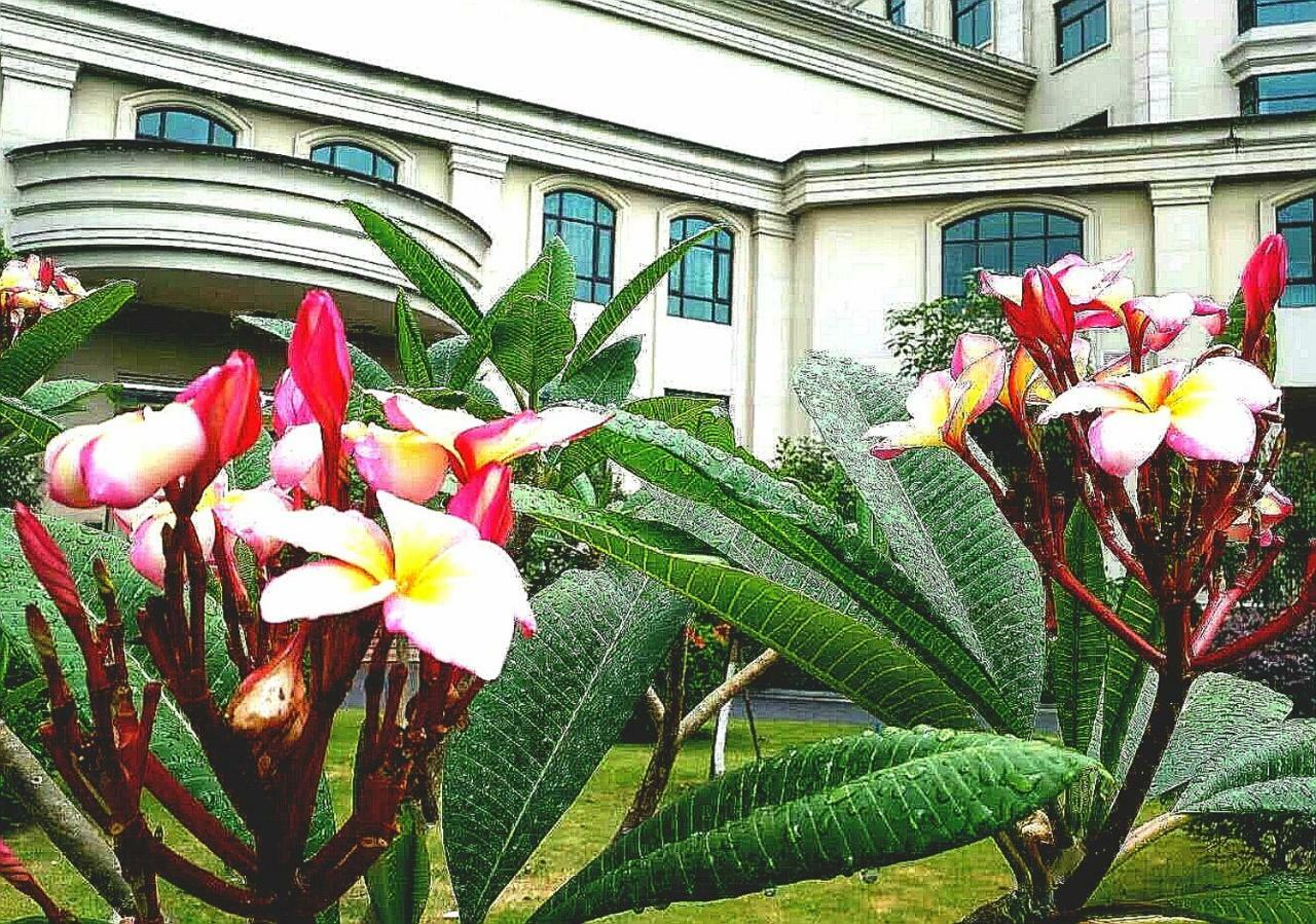Ln Dongfang Hotel, Sihui Exterior foto